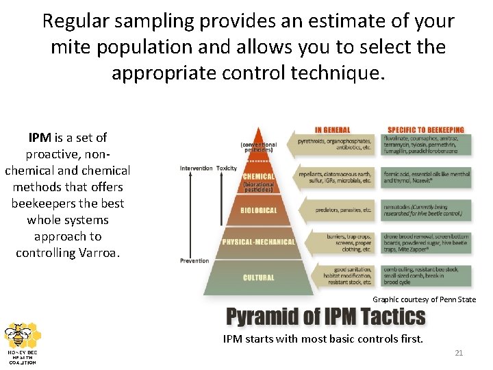 Regular sampling provides an estimate of your mite population and allows you to select