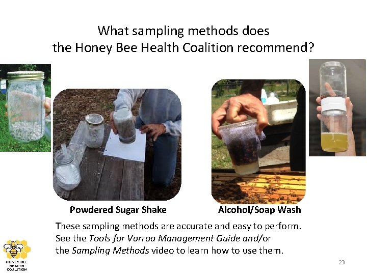 What sampling methods does the Honey Bee Health Coalition recommend? Powdered Sugar Shake Alcohol/Soap