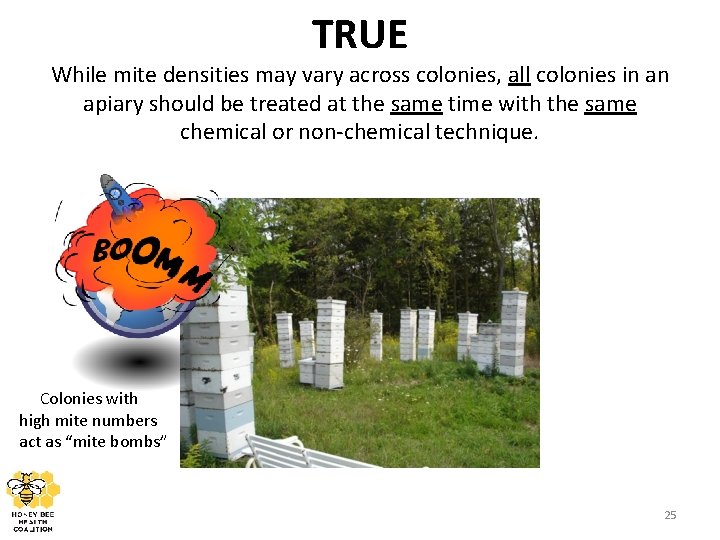 TRUE While mite densities may vary across colonies, all colonies in an apiary should