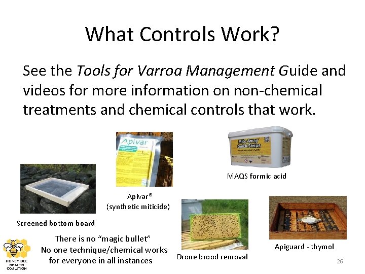 What Controls Work? See the Tools for Varroa Management Guide and videos for more