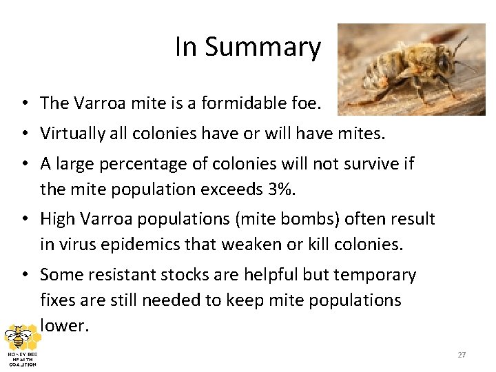 In Summary • The Varroa mite is a formidable foe. • Virtually all colonies