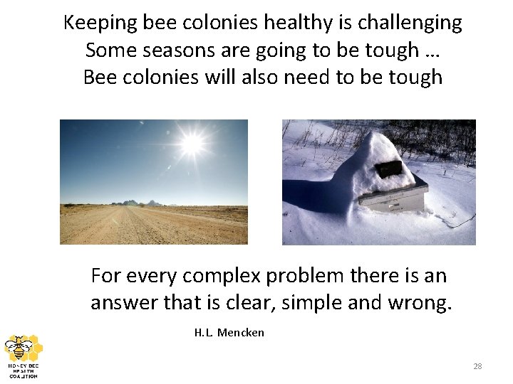 Keeping bee colonies healthy is challenging Some seasons are going to be tough …