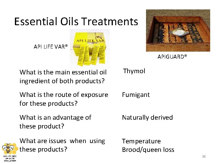 Essential Oils Treatments API LIFE VAR® APIGUARD® What is the main essential oil ingredient