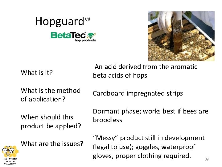 Hopguard® What is it? An acid derived from the aromatic beta acids of hops