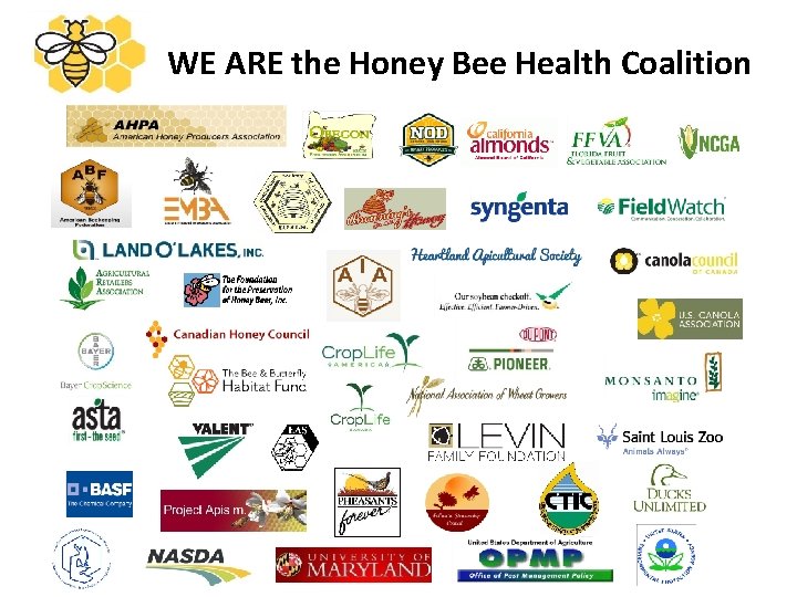 HONEY BEE HEALTH COALITION MEMBERSHIP WE ARE the Honey Bee Health Coalition 