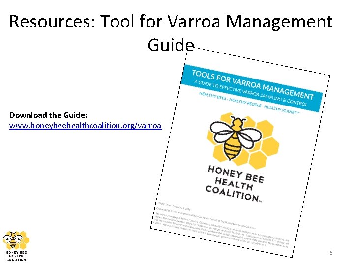 Resources: Tool for Varroa Management Guide Download the Guide: www. honeybeehealthcoalition. org/varroa 6 