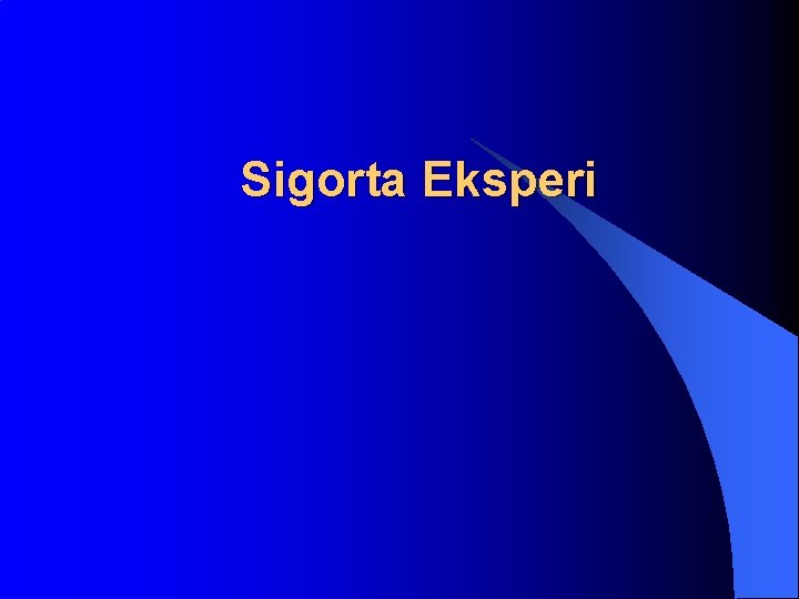 Sigorta Eksperi 