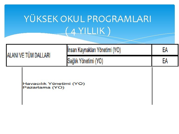 YÜKSEK OKUL PROGRAMLARI ( 4 YILLIK ) 