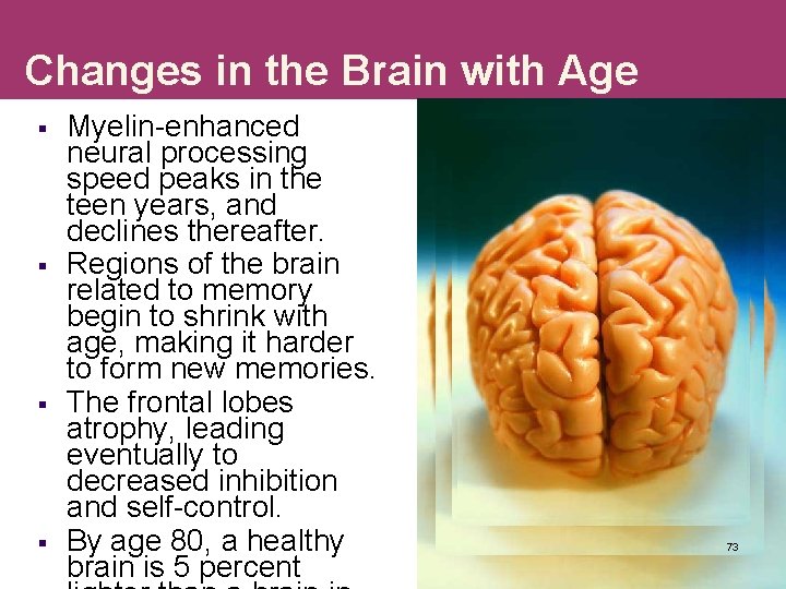 Changes in the Brain with Age § § Myelin-enhanced neural processing speed peaks in
