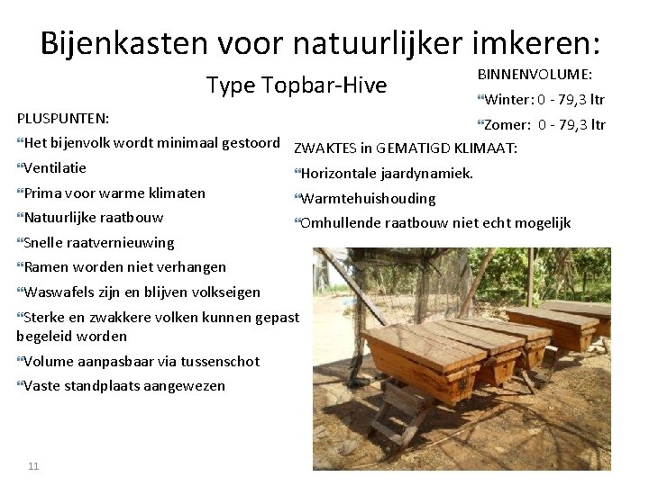 Bijenkasten voor natuurlijker imkeren: Type Topbar-Hive PLUSPUNTEN: Het bijenvolk wordt minimaal gestoord Ventilatie Prima