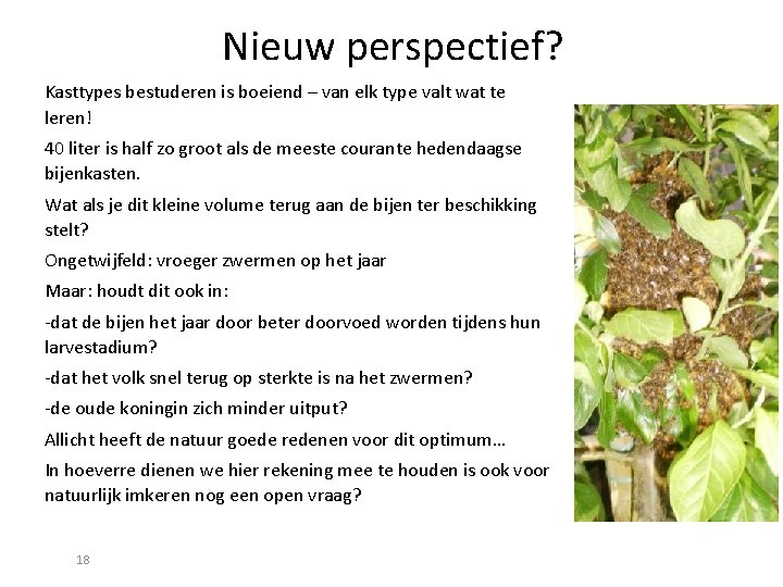Nieuw perspectief? Kasttypes bestuderen is boeiend – van elk type valt wat te leren!