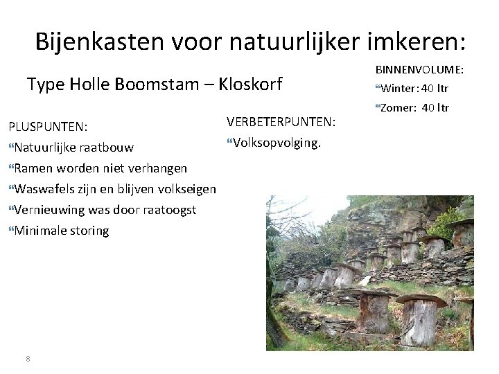 Bijenkasten voor natuurlijker imkeren: Type Holle Boomstam – Kloskorf PLUSPUNTEN: Natuurlijke raatbouw Ramen worden