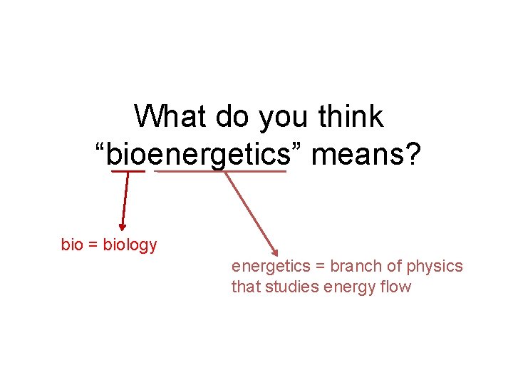 What do you think “bioenergetics” means? bio = biology energetics = branch of physics