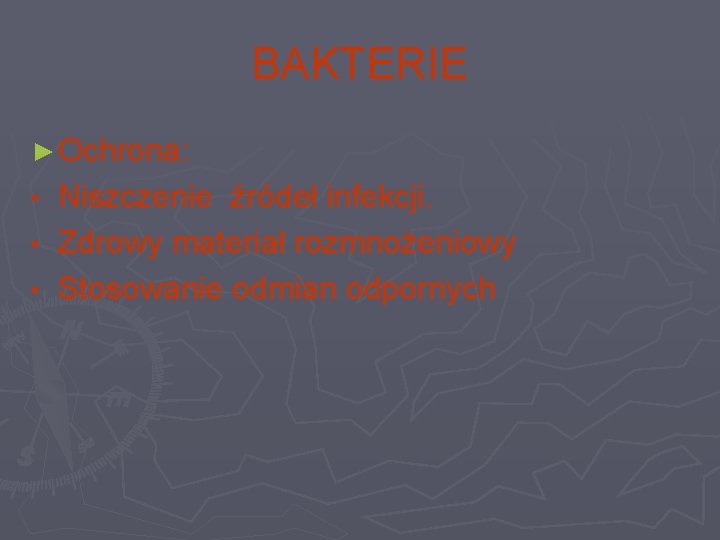 BAKTERIE ► Ochrona: Niszczenie źródeł infekcji. • Zdrowy materiał rozmnożeniowy • Stosowanie odmian odpornych