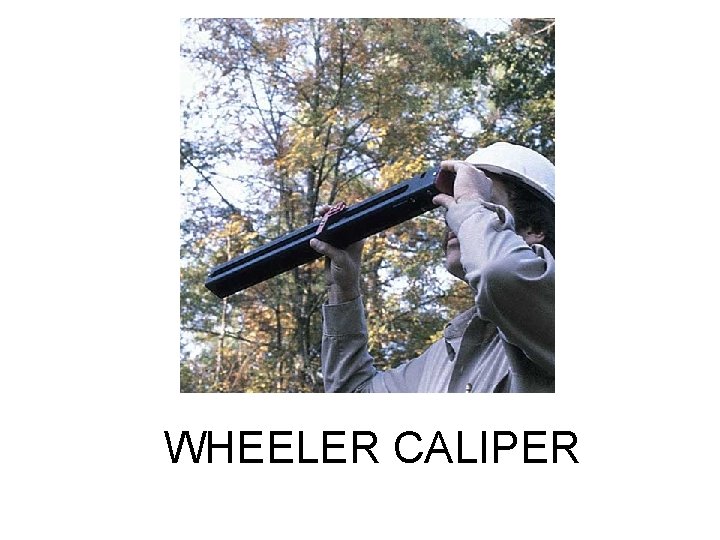 WHEELER CALIPER 