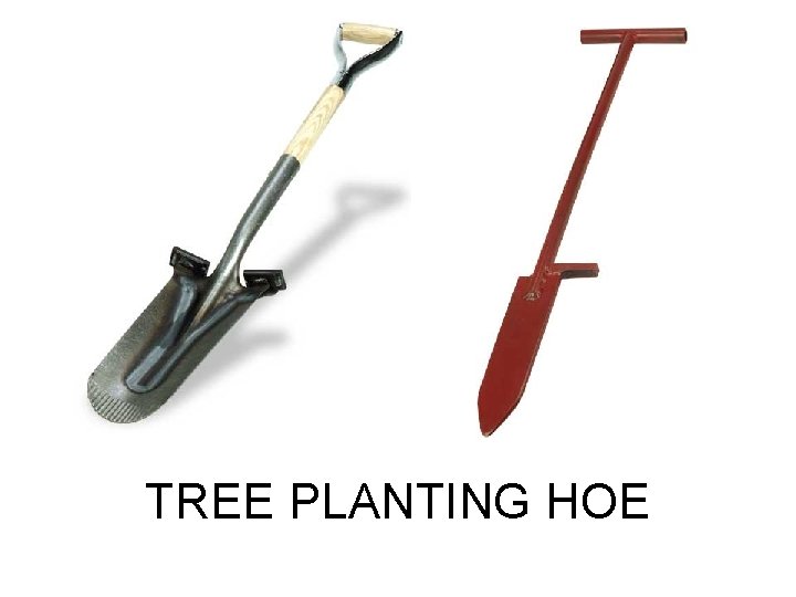 TREE PLANTING HOE 