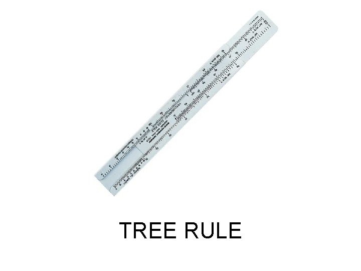 TREE RULE 