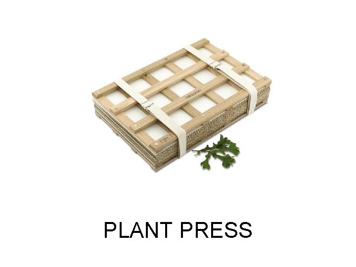 PLANT PRESS 