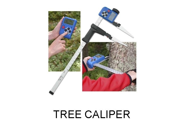 TREE CALIPER 
