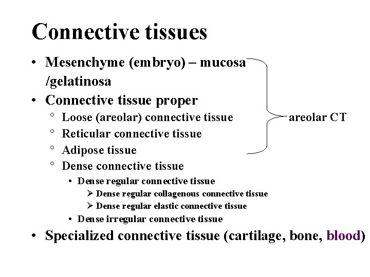 Connective tissues • Mesenchyme (embryo) – mucosa /gelatinosa • Connective tissue proper ° °