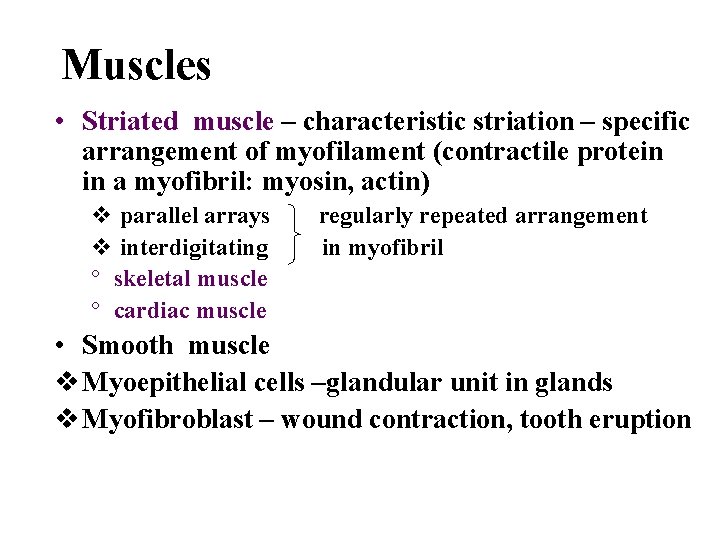 Muscles • Striated muscle – characteristic striation – specific arrangement of myofilament (contractile protein