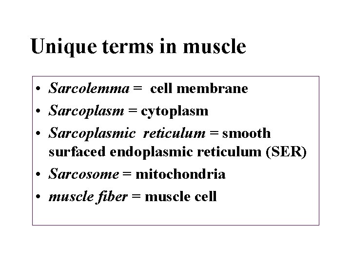 Unique terms in muscle • Sarcolemma = cell membrane • Sarcoplasm = cytoplasm •