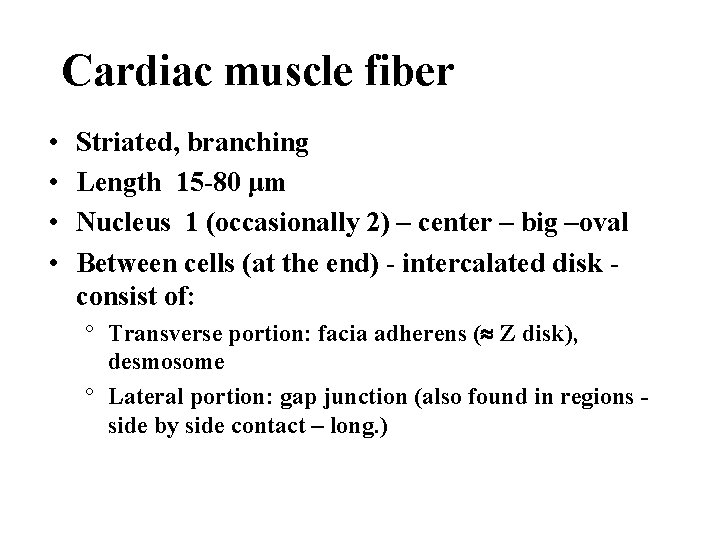 Cardiac muscle fiber • • Striated, branching Length 15 -80 μm Nucleus 1 (occasionally