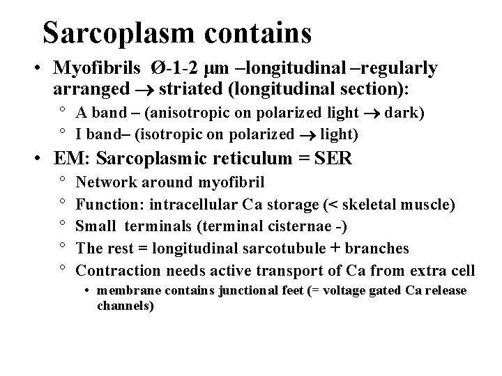 Sarcoplasm contains • Myofibrils Ø-1 -2 μm –longitudinal –regularly arranged striated (longitudinal section): °