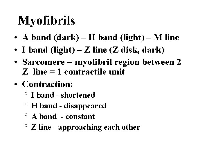 Myofibrils • A band (dark) – H band (light) – M line • I