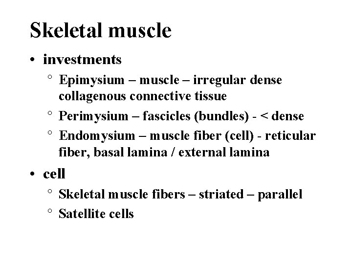 Skeletal muscle • investments ° Epimysium – muscle – irregular dense collagenous connective tissue