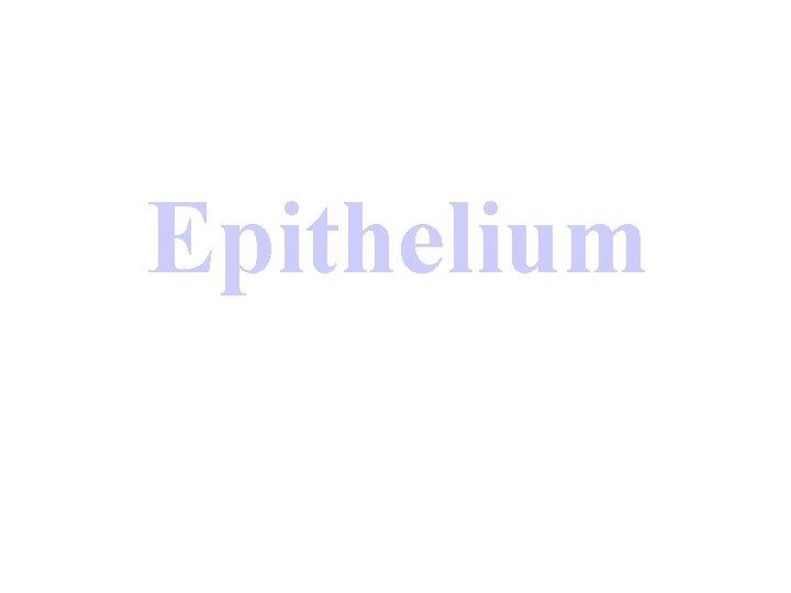 Epithelium 
