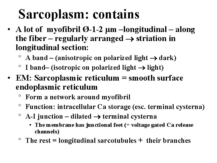 Sarcoplasm: contains • A lot of myofibril Ø-1 -2 μm –longitudinal – along the