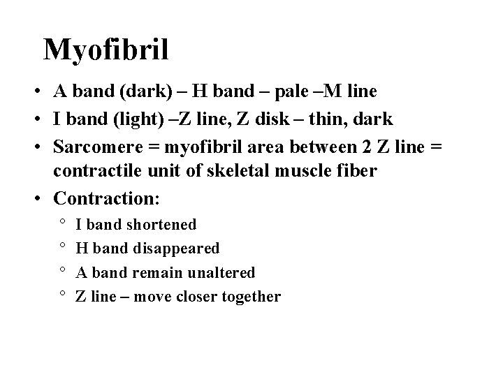 Myofibril • A band (dark) – H band – pale –M line • I