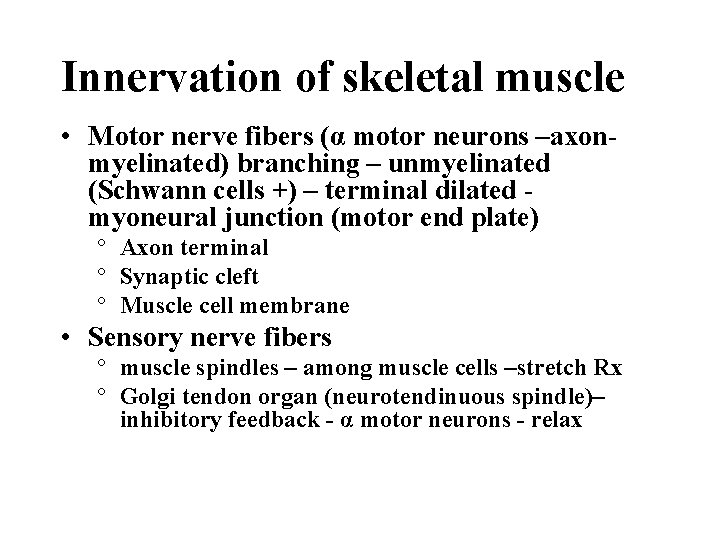Innervation of skeletal muscle • Motor nerve fibers (α motor neurons –axonmyelinated) branching –