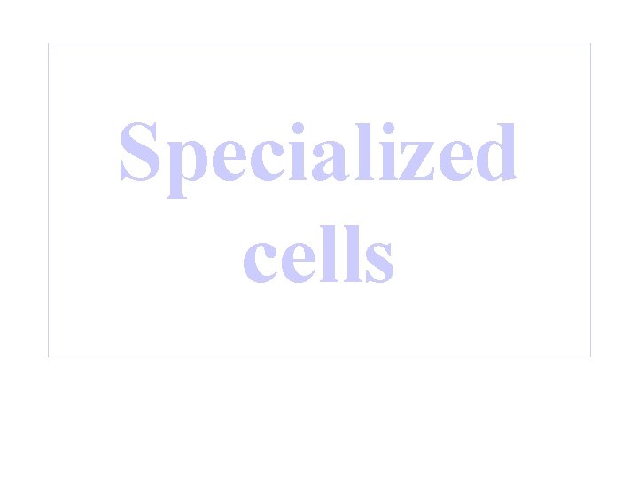 Specialized cells 