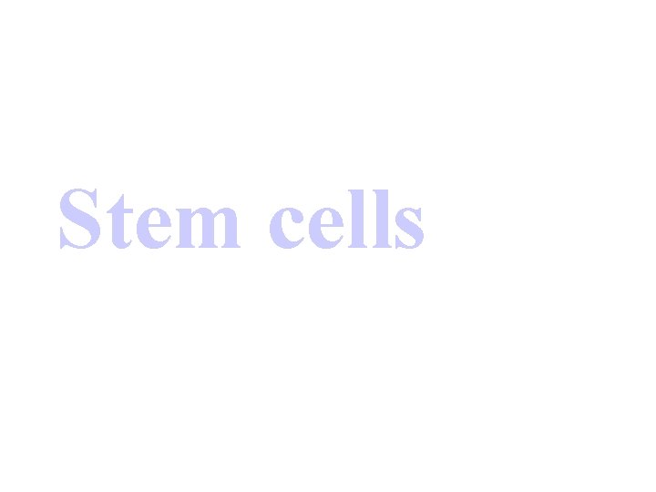 Stem cells 