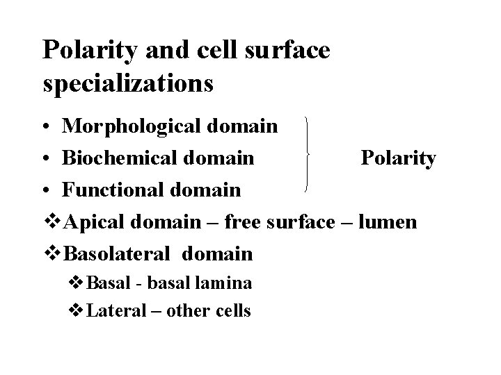 Polarity and cell surface specializations • Morphological domain • Biochemical domain Polarity • Functional