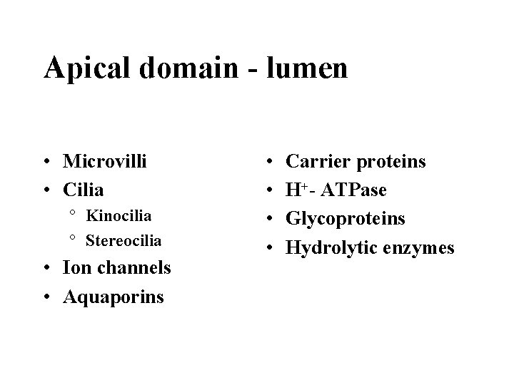 Apical domain - lumen • Microvilli • Cilia ° Kinocilia ° Stereocilia • Ion