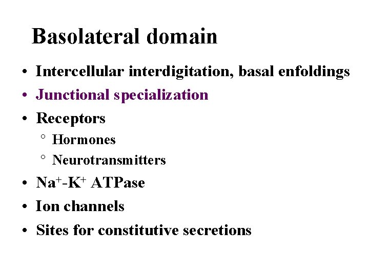 Basolateral domain • Intercellular interdigitation, basal enfoldings • Junctional specialization • Receptors ° Hormones