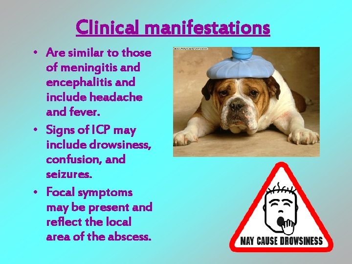 Clinical manifestations • Are similar to those of meningitis and encephalitis and include headache