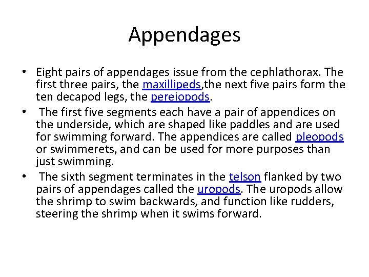 Appendages • Eight pairs of appendages issue from the cephlathorax. The first three pairs,