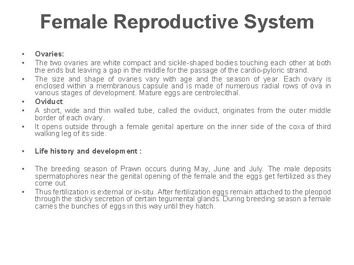 Female Reproductive System • • • Ovaries: The two ovaries are white compact and
