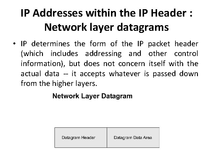 IP Addresses within the IP Header : Network layer datagrams • IP determines the