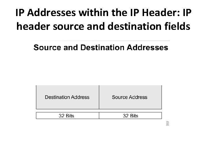 IP Addresses within the IP Header: IP header source and destination fields 