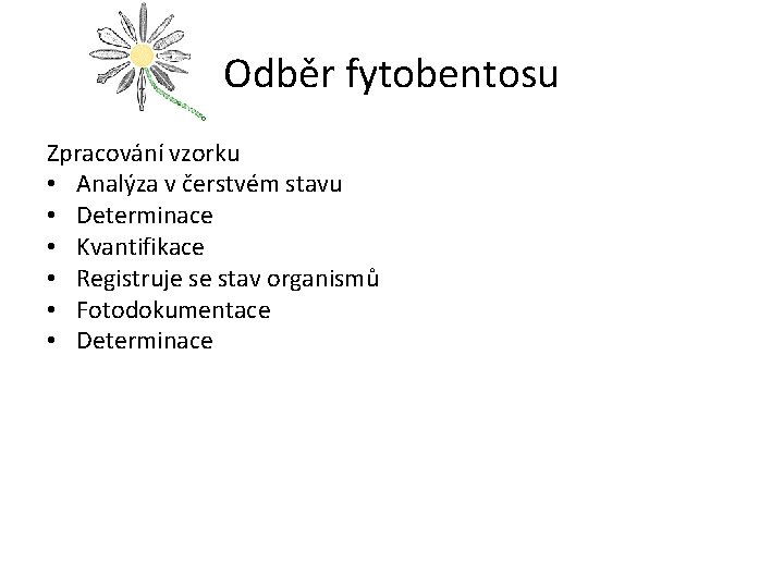 Odběr fytobentosu Zpracování vzorku • Analýza v čerstvém stavu • Determinace • Kvantifikace •