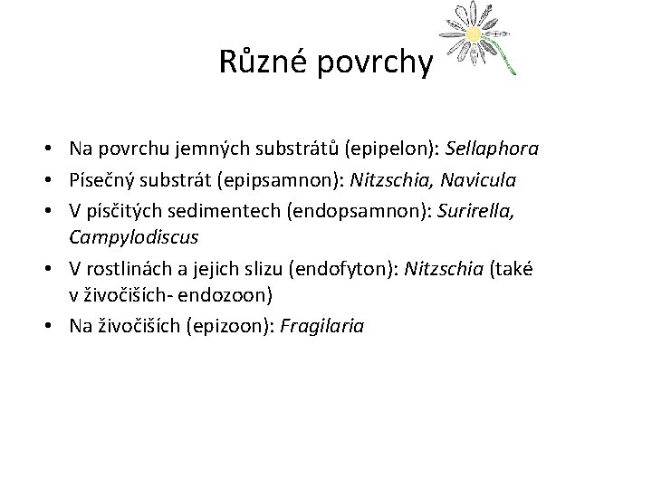 Různé povrchy • Na povrchu jemných substrátů (epipelon): Sellaphora • Písečný substrát (epipsamnon): Nitzschia,