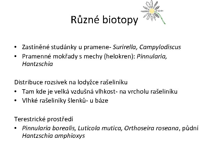Různé biotopy • Zastíněné studánky u pramene- Surirella, Campylodiscus • Pramenné mokřady s mechy