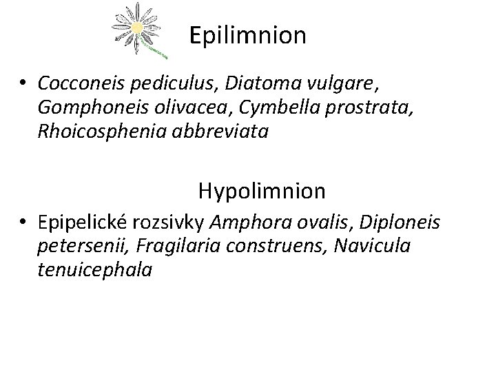 Epilimnion • Cocconeis pediculus, Diatoma vulgare, Gomphoneis olivacea, Cymbella prostrata, Rhoicosphenia abbreviata Hypolimnion •