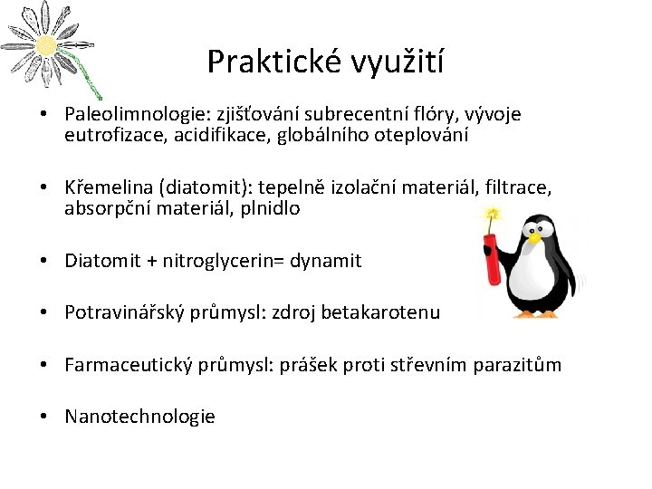 Praktické využití • Paleolimnologie: zjišťování subrecentní flóry, vývoje eutrofizace, acidifikace, globálního oteplování • Křemelina