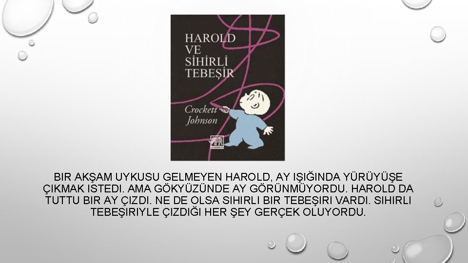 BIR AKŞAM UYKUSU GELMEYEN HAROLD, AY IŞIĞINDA YÜRÜYÜŞE ÇIKMAK ISTEDI. AMA GÖKYÜZÜNDE AY GÖRÜNMÜYORDU.